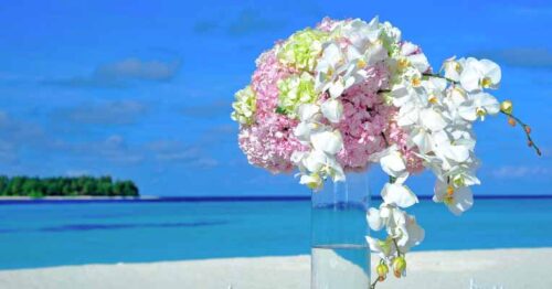 A vibrant bouquet of pink hydrangeas and white orchids in a clear glass vase, set against the backdrop of a bright blue sky, crystal-clear turquoise waters, and a lush green island