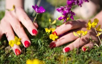 Embracing Earth Day: Learn How Flowers Connect Us to Nature