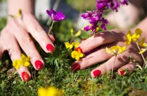 Learn How Flowers Connect Us to Nature