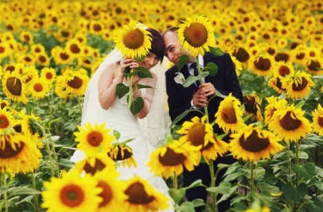 Embracing the season's vibrant hues and natural radiance, sunflowers take center stage as the iconic bloom, symbolizing these August nuptials.