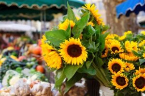 A bunch of sunflowers in a basket