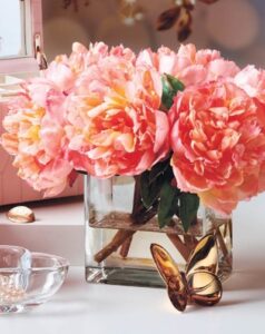 Incredible Peonies in Vase