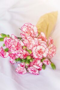 Carnations Bouquet Flowers