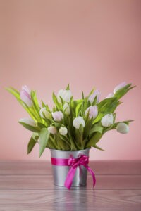 Rustic pot with white fresh tulips